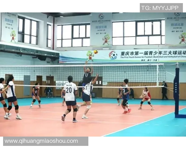 重庆排球队转型之路揭秘大师赛特别报道展现新风貌与挑战