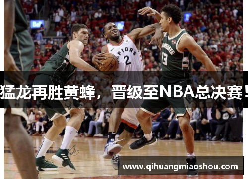 猛龙再胜黄蜂，晋级至NBA总决赛！